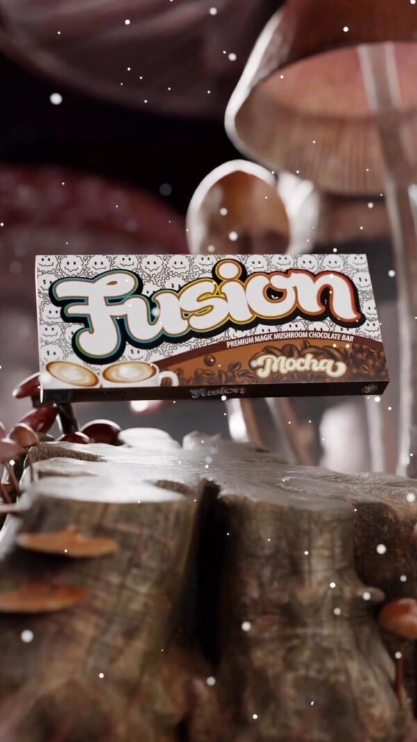 Fusion Bars mocha