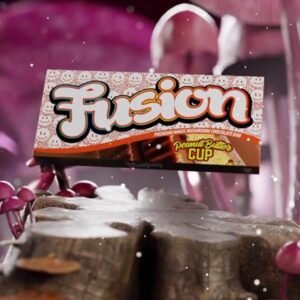 Fusion Bars Peanut Butter